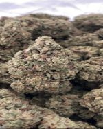 Biscotti - Deps (75/OZ - 1175/LB)