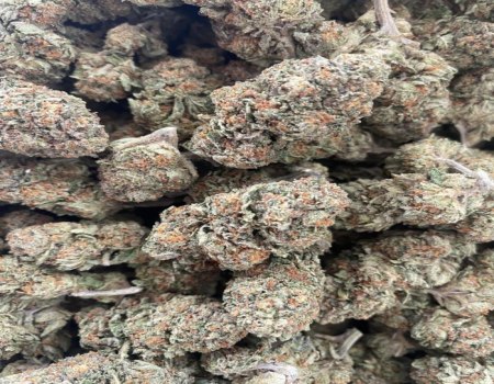 Gushers - Indoor (130/OZ - 2075/LB)