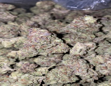Dragonfruit SFV - Indoor (150/OZ - 2350/LB)