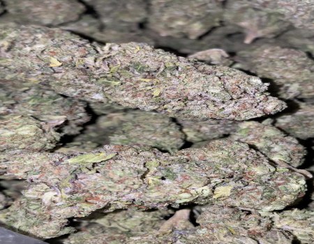 Mac Kush - AAA (105/OZ - 1675/LB)