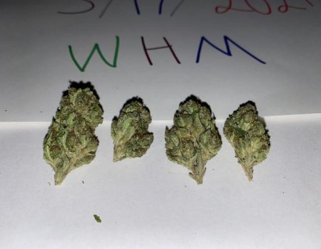 DeadHead OG - AAA (105/OZ - 1650/LB)