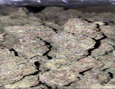 Gelato - Indoor (150/OZ - 2375/LB)
