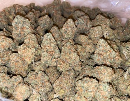 Mango Diesel - Indoor (135/OZ - 2150/LB)