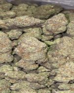 Rainbow Beltz - Indoor (145/OZ - 2275/LB)
