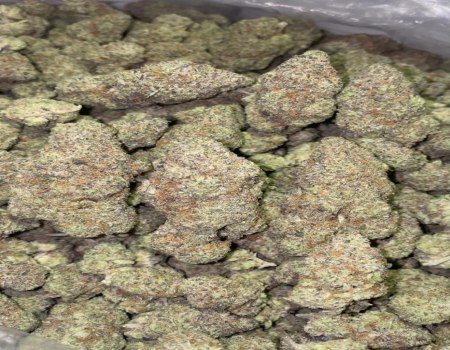 Frosted Guava Gelato - Indoor (125/OZ - 1925/LB)