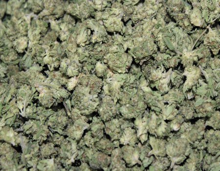 Indoor Smalls - 1oz+