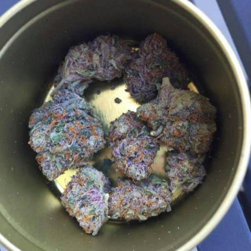 Purple Kush 1lb (1 pound)