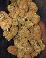 BUY HIGH GRADE MARIJUANA HALF POUND