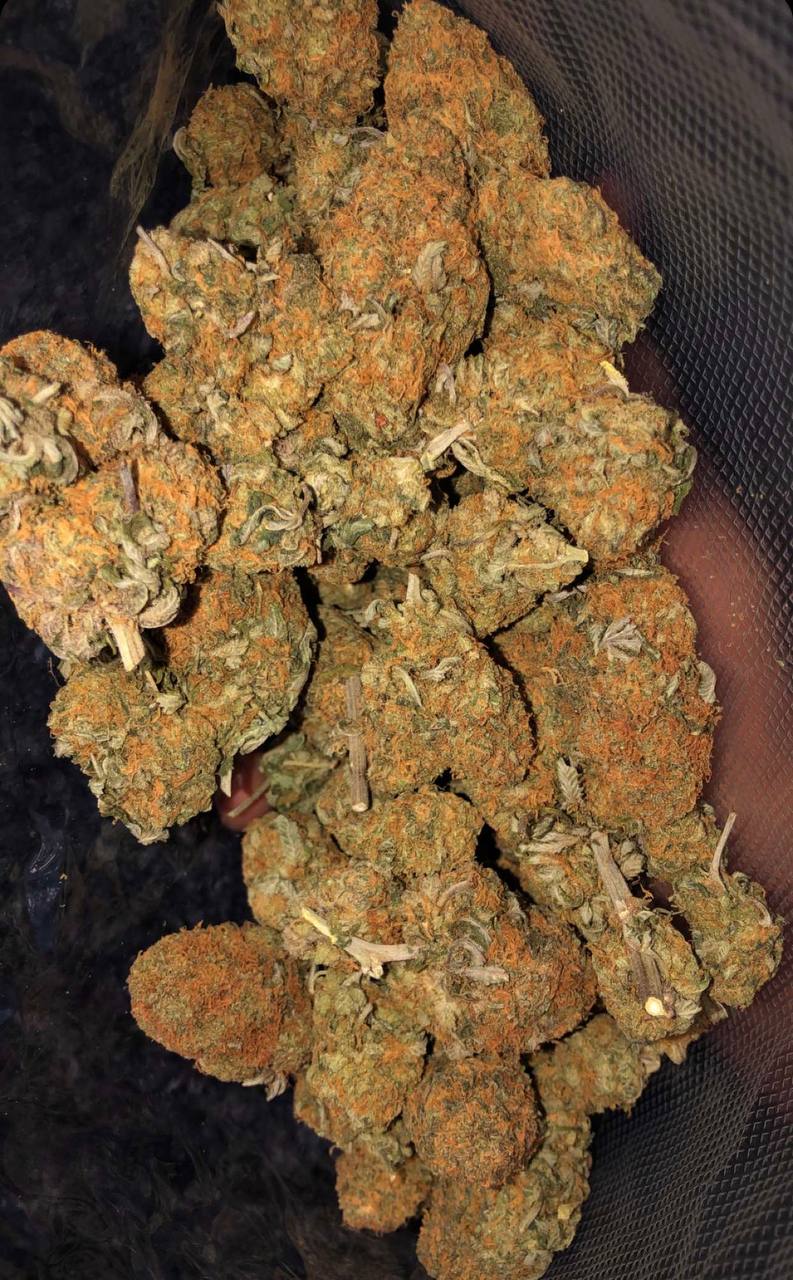 BUY HIGH GRADE MARIJUANA HALF POUND