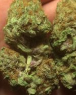 Bio Pineapple Express Indoor AAA+