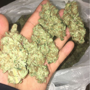 Gorilla Glue Top Quality