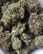 NORTHERN LIGHT WEED
