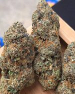 LEMON HAZE 25g