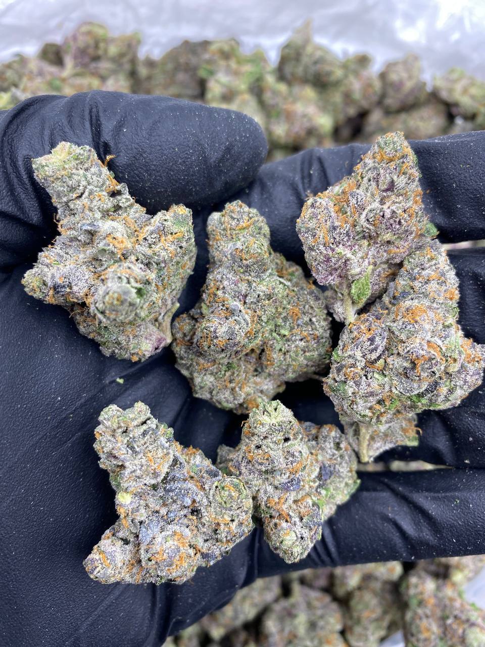 Cherry Gelato 1Ounce