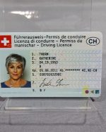 Switzerland driving license with selfie (Clone)
