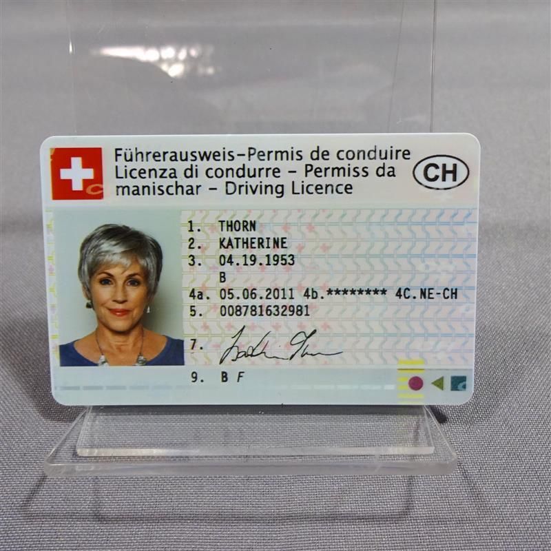 Switzerland driving license with selfie (Clone)