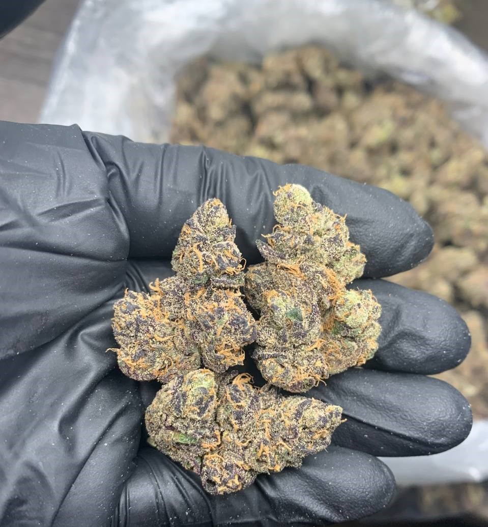 Gorilla Glue 1Ounce