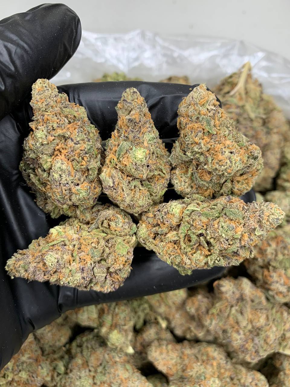 Purple Haze 1Ounce