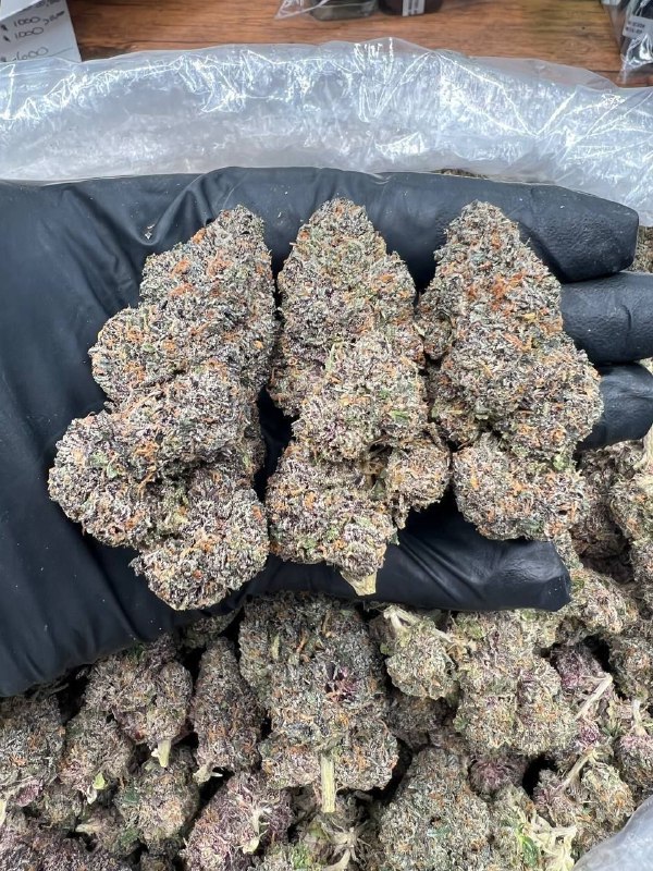 Alien Kush 1Ounce