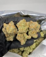 Orange Cookie 1Ounce