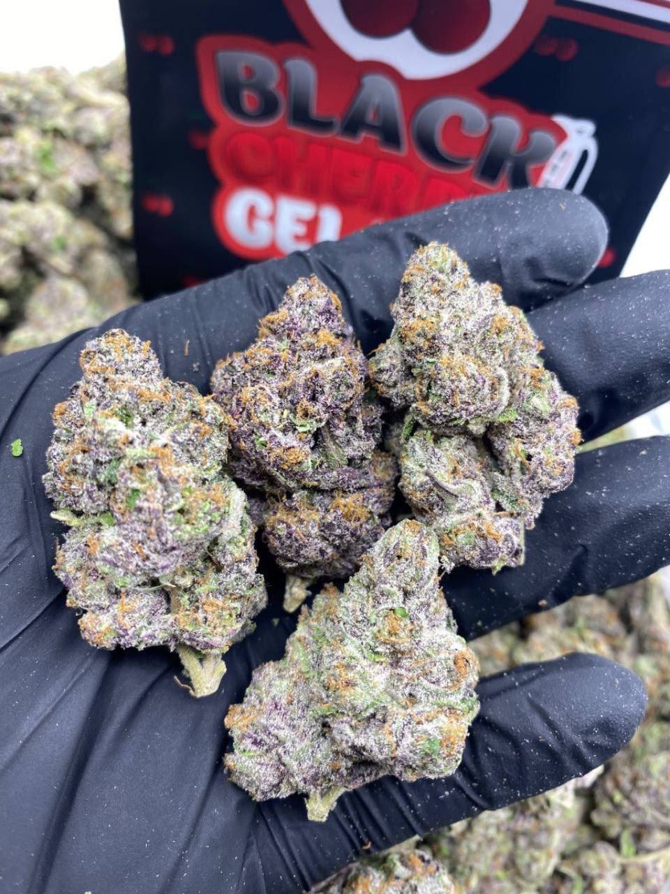 Black Gelato 1Ounce