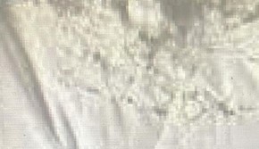 oxycodone powder 99.57%