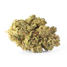 Granddaddy Purple kush