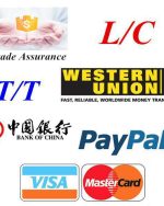 FAST PayPal TRANFER EVER (Clone)