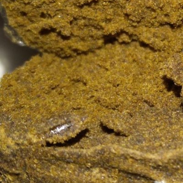 25g SHARK HASH 160$