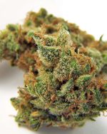 [50g] Northern Lights 1A Weed