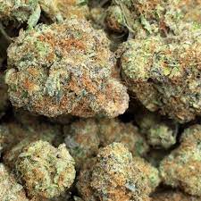Girl Scout Cookies