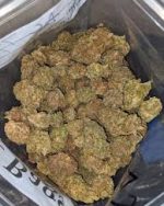 White Widow