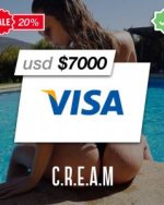 Cloned Card 3000-4000$ Balance x4