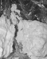 1 Cocaine 10g