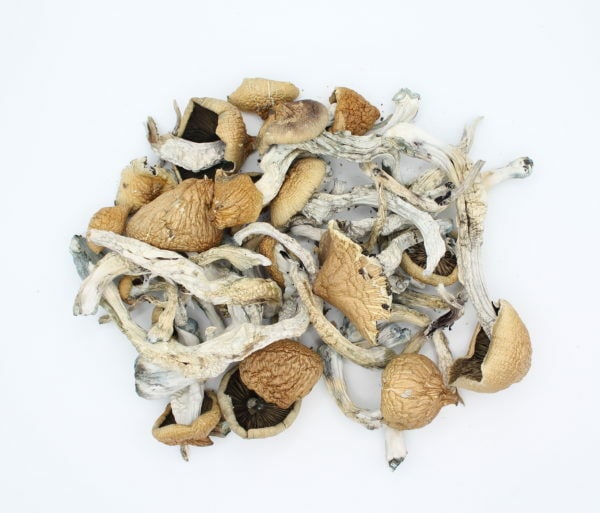 Hawaiian Magic Mushrooms)(oz)