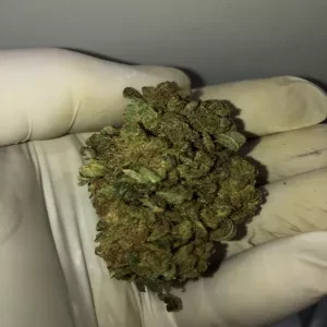 AMNESIA 7G - ozbabe