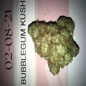BUBBLE GUM KUSH 7G- ozbabe