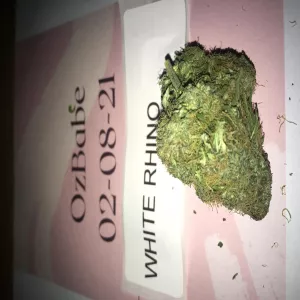 WHITE RHINO 7G - ozbabe