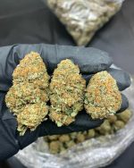 50g Super Skunk High Quality - strong Strain.../500$