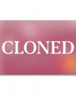 Cloned card 2500-3500 EUR balance (1CC)