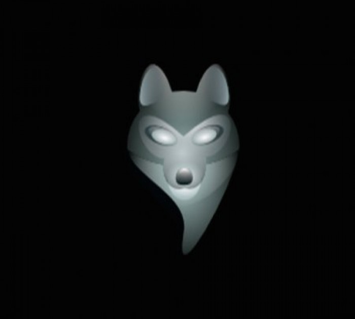 NEWEST FRAUDFOX + ANTIDETECT + 100 WORTH OF BONUS SOFTWARES / TUTORIALS