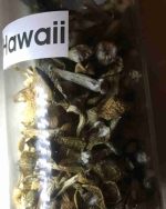 Magic Mushroom Hawaii (5g)