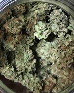 Bubble Gum