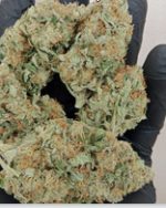 [ESCROW] 50GR AMNESIA HY-PRO AAAA++++