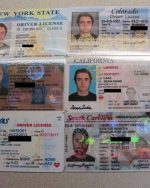 Drivers License Templates - USA (47 States) ♕ + ADOBE PHOTOSHOP 2025 INSTANT DELIVERY