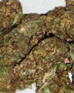 Critical Kush 10g