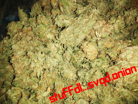 Bolivia Kush 10 Gr