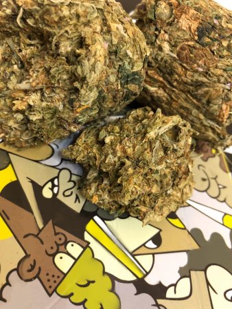 50g Amnesia Weed