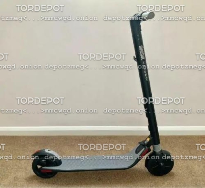 Segway Ninebot ES4