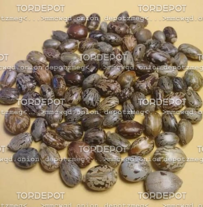 Ricin grains - 1kg